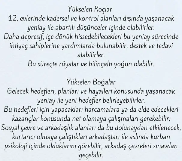 bal8 (2).webp