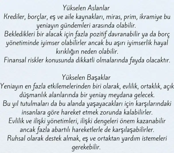 bal8 (4).webp