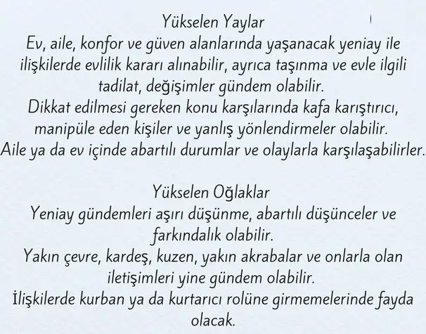 bal8 (6).webp