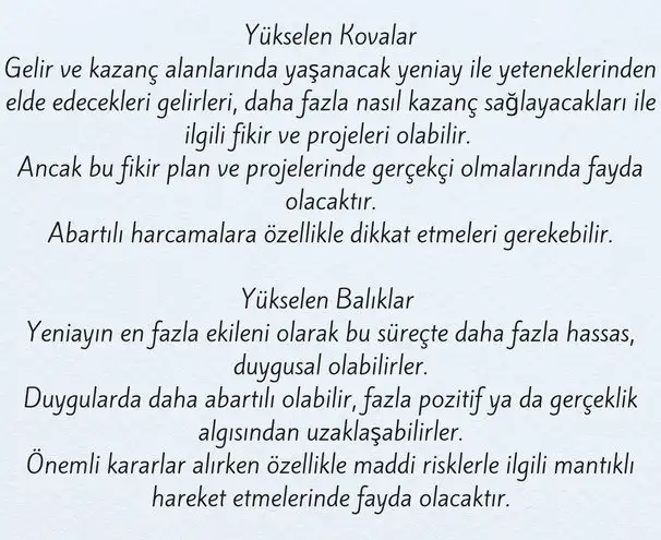 bal8 (7).webp