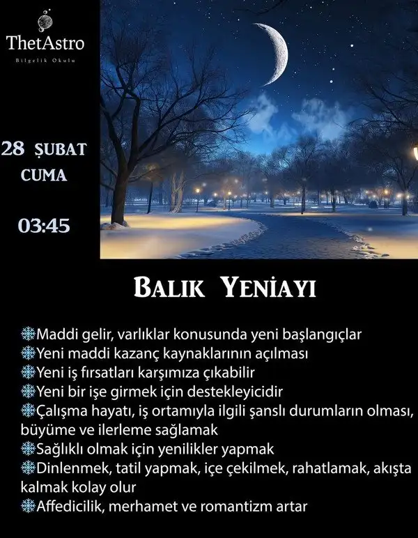 bal8 (8).webp