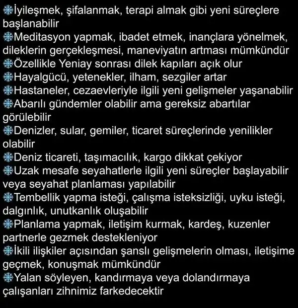 bal8 (9).webp