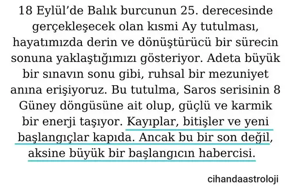 bal9 (1).webp
