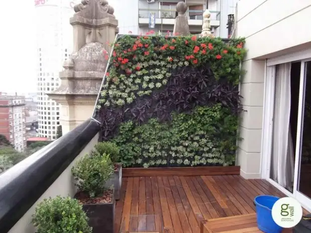 balcony-garden-ideas-small-apartment-fuFcB.webp