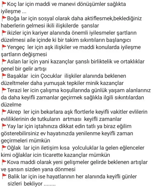 balık (2).webp