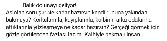 balık elvan.webp