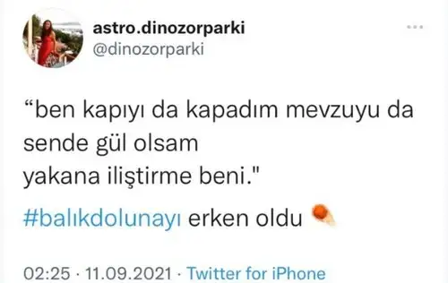 balık.webp