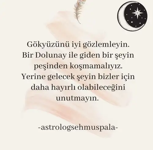 balık.webp