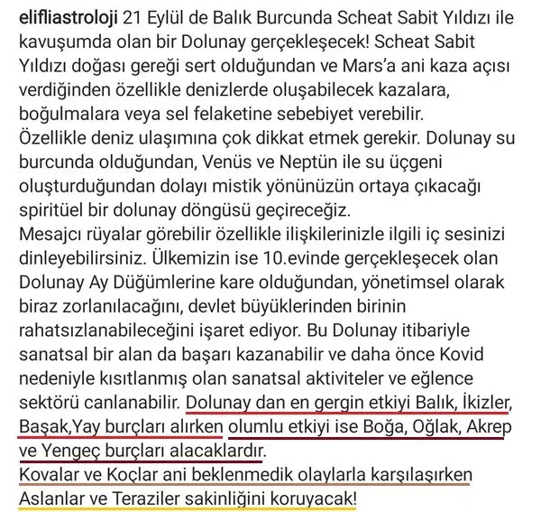 balık.webp
