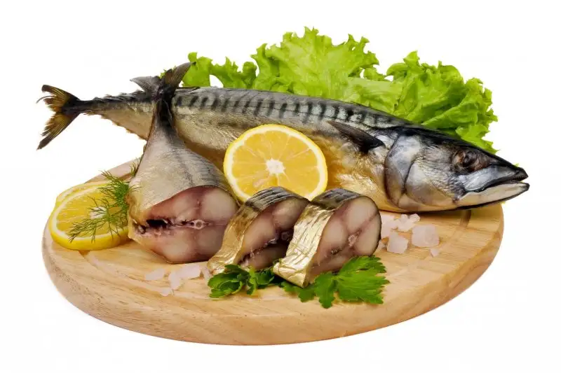 Balik-Yemekleri.webp