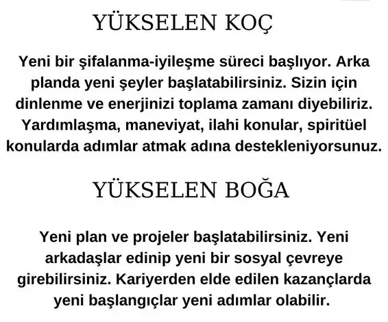 balık yeniay1 (2).webp