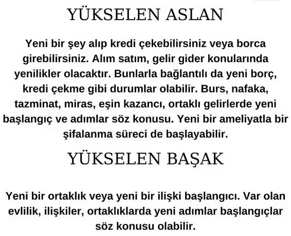balık yeniay1 (4).webp