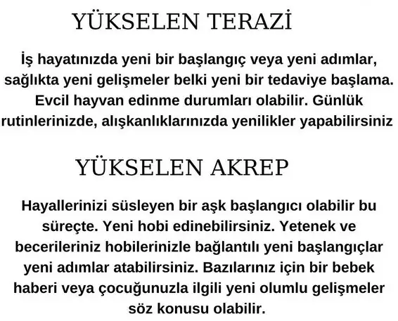 balık yeniay1 (5).webp