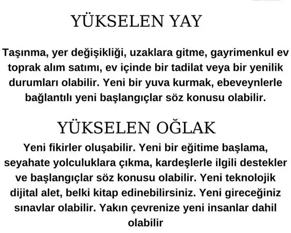balık yeniay1 (6).webp