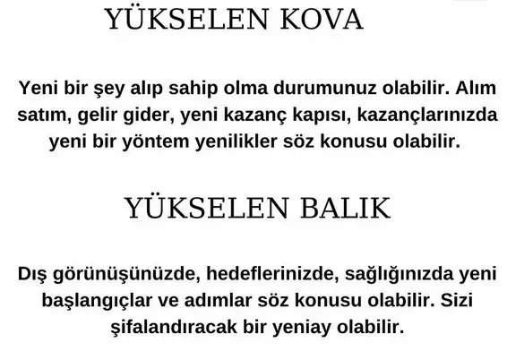 balık yeniay1 (7).webp