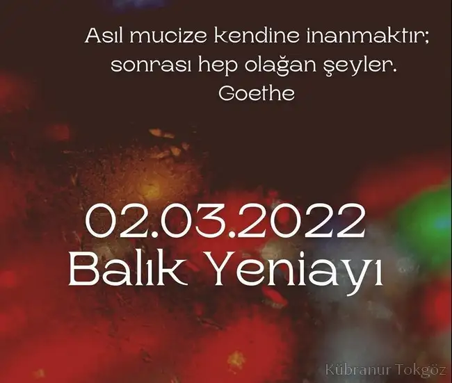 balık yeniay2 (1).webp
