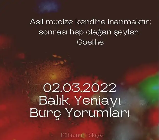 balık yeniay2 (4).webp