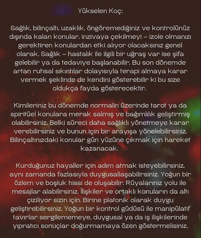 balık yeniay2 (5).webp
