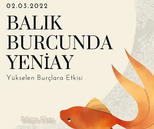 balık yeniay3 (1).webp