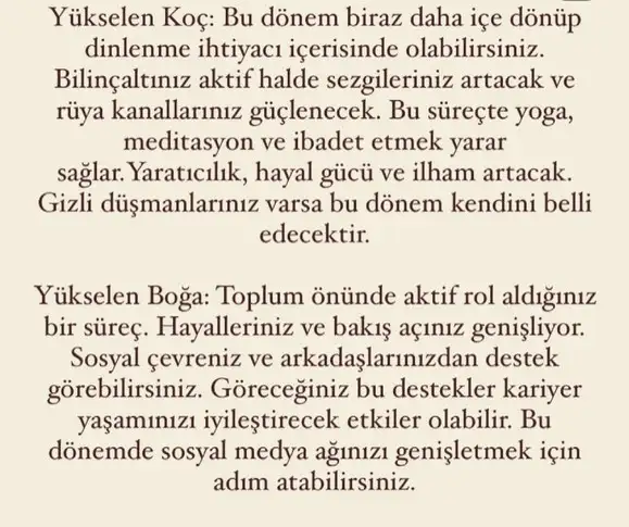 balık yeniay3 (2).webp