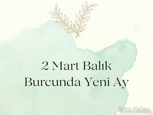 balık yeniay4 (1).webp