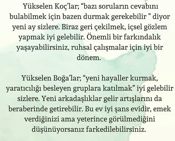 balık yeniay4 (2).webp
