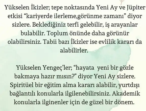 balık yeniay4 (3).webp