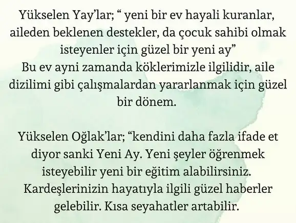 balık yeniay4 (6).webp