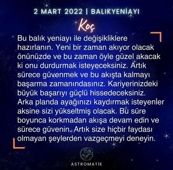 balık yeniayı 0 (1).webp