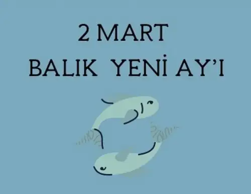 balık yeniayı 1 (1).webp