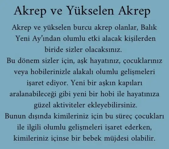 balık yeniayı 1 (11).webp