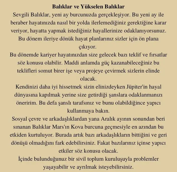 balık yeniayı 1 (12).webp