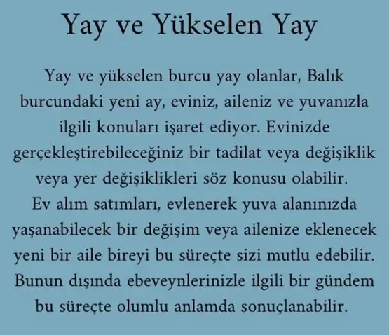 balık yeniayı 1 (12).webp