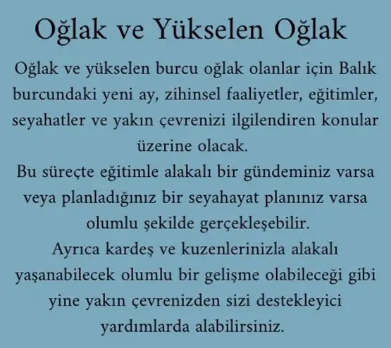 balık yeniayı 1 (13).webp