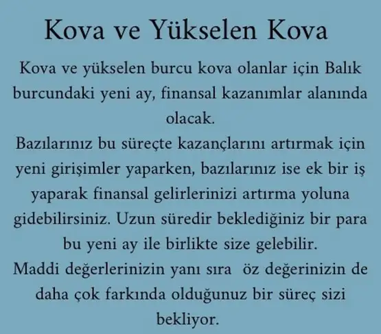 balık yeniayı 1 (14).webp
