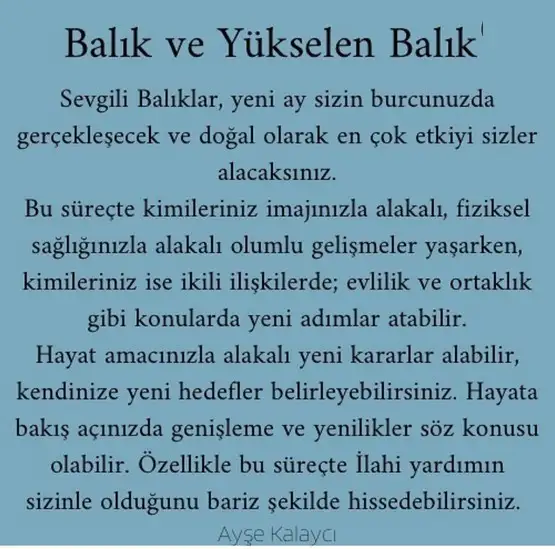 balık yeniayı 1 (15).webp