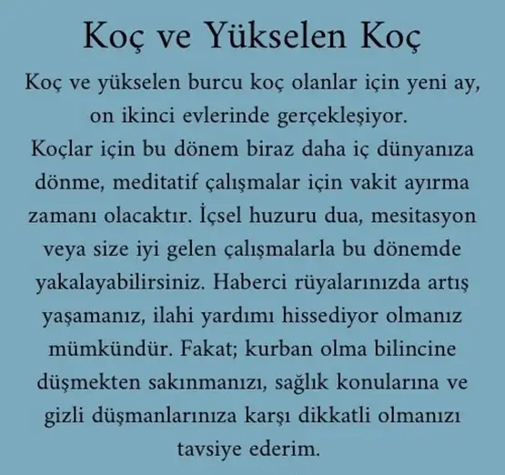 balık yeniayı 1 (2).webp