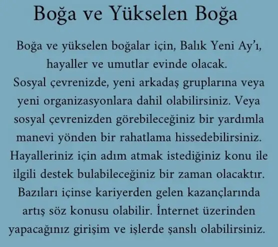 balık yeniayı 1 (3).webp