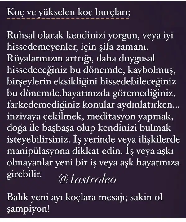 balık yeniayı 10 (2).webp