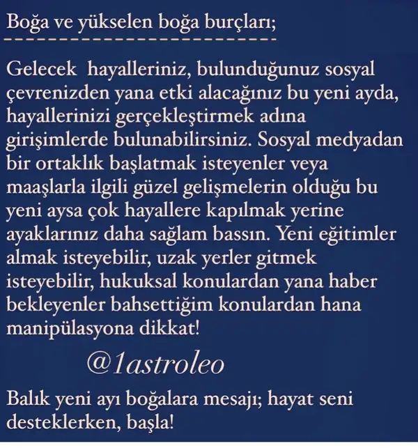 balık yeniayı 10 (3).webp