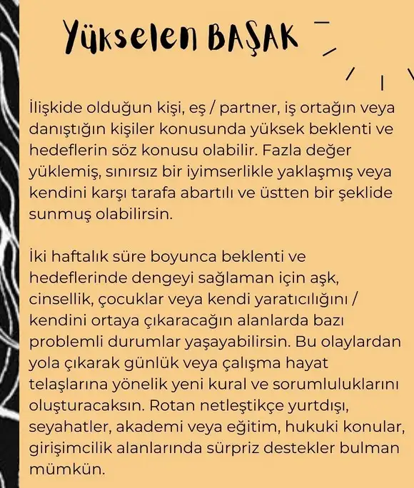 balık yeniayı 11 (10).webp