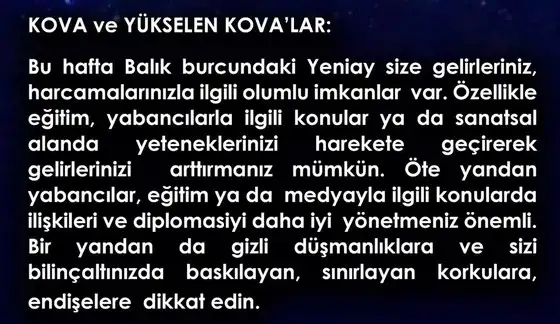 balık yeniayı 11 (11).webp