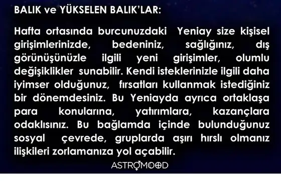 balık yeniayı 11 (12).webp