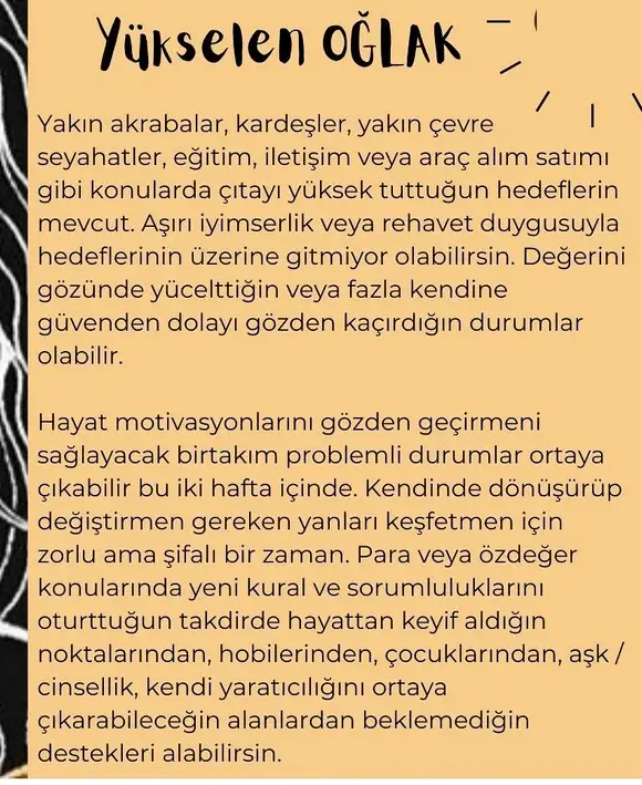 balık yeniayı 11 (14).webp