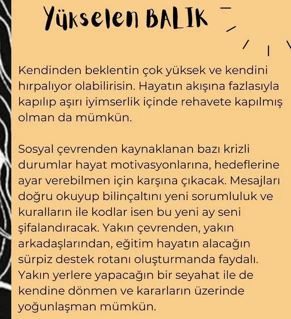 balık yeniayı 11 (16).webp