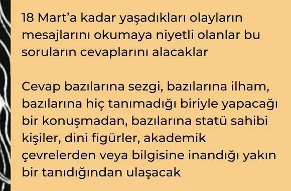 balık yeniayı 11 (3).webp
