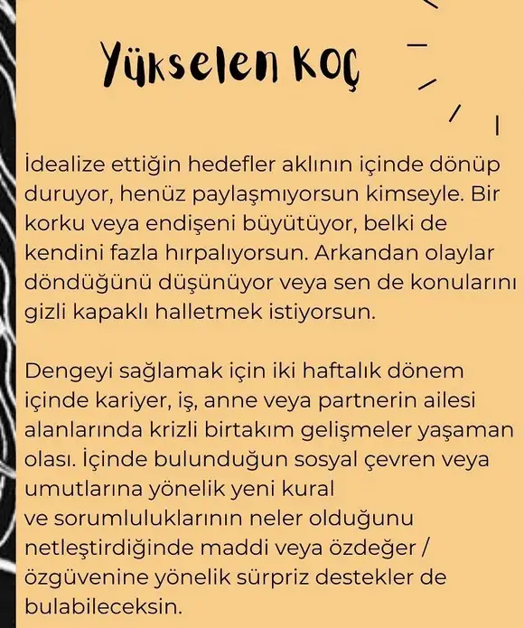 balık yeniayı 11 (5).webp