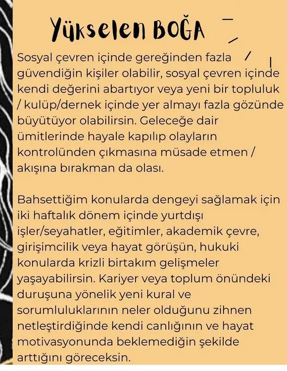 balık yeniayı 11 (6).webp