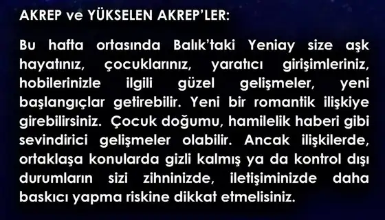 balık yeniayı 11 (8).webp