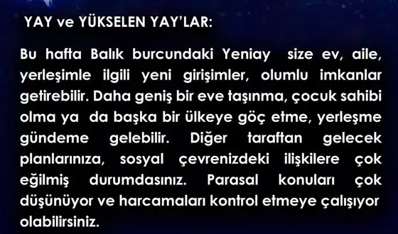 balık yeniayı 11 (9).webp